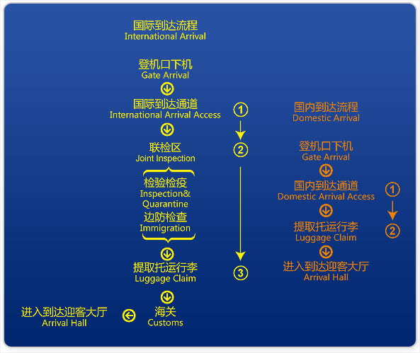 浦东机场t1航站楼导图图片